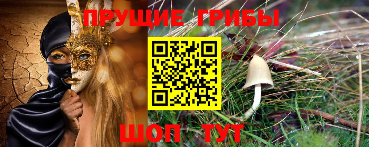 Азнакаево  хочу   Вход с VPN  Галлюциногенные грибы ЛСД  Псилоцибиновые грибы ЛСД 